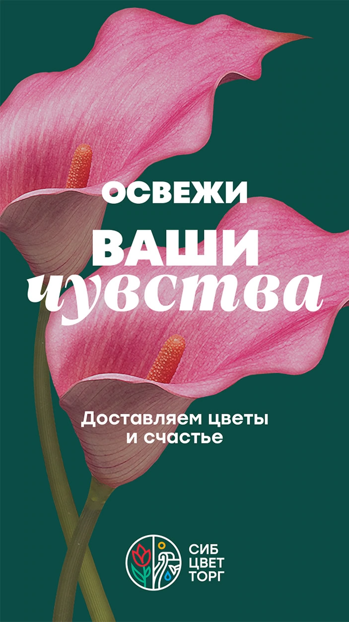 Рекламная кампания — визуал