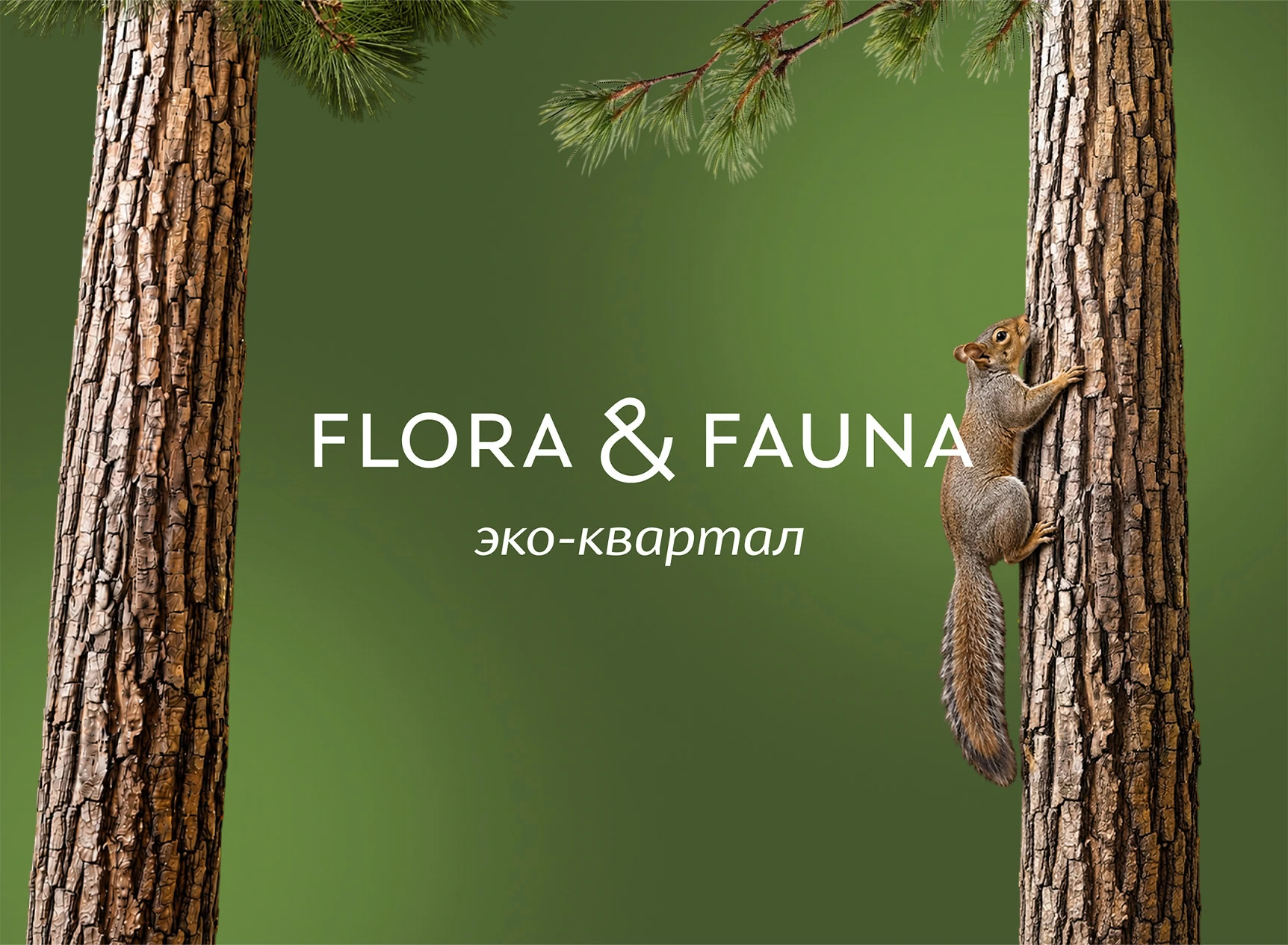 Обложка проекта: Flora & Fauna